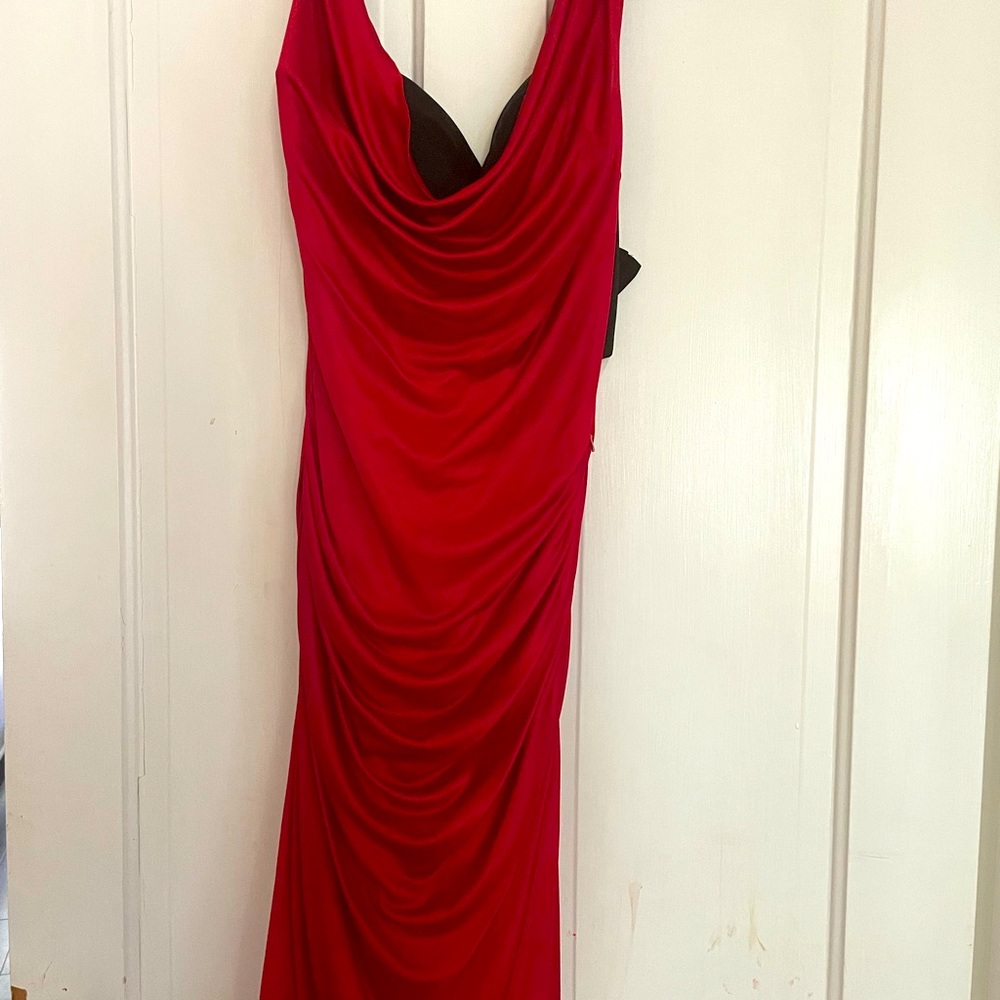 Bebe midi dress shines beautifully